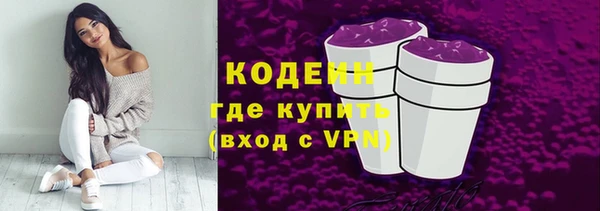 амф Горняк