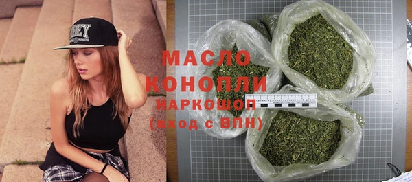 амф Горняк