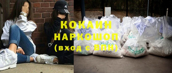 амф Горняк