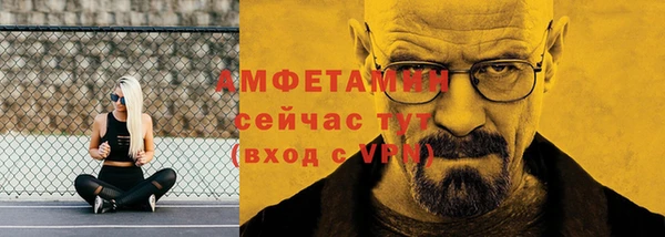 амф Горняк