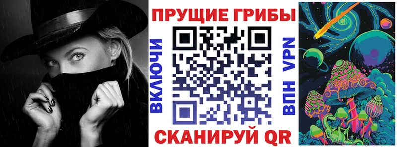Псилоцибиновые грибы MAGIC MUSHROOMS  Купить где  Петровск-Забайкальский 